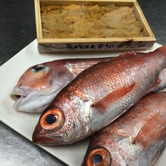 常に、新鮮の魚を仕入れています。