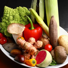 鉄板焼き 翔 SHOWの特集写真