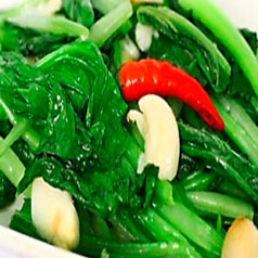 野菜メニュー 各種