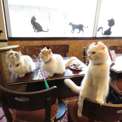 猫カフェ 楽天のおすすめポイント1