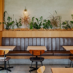 観葉植物のあるお席