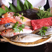 古くからお付き合いのある独自のルートから取り寄せる全国各地の新鮮な食材。四季折々の旬食材を低価格でご提供致します。他店では真似できないコスパと味で勝負！お刺し身以外にも、煮付け、焼き物、カルパッチョなどもご用意しております。日本酒、焼酎との相性も◎！ぜひご一緒にお楽しみください。