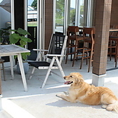 Blue 3CAFE ブルースリーカフェの雰囲気2