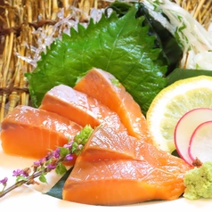 サーモン刺身