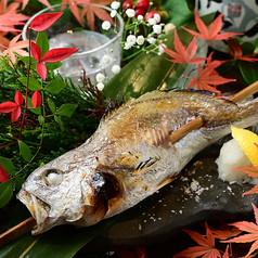 本日の鮮魚の原始焼