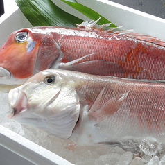 新鮮な天然魚とオーガニック食材が堪能できるお店の写真