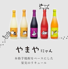 博多もつ鍋 やまや 四条烏丸店のコース写真