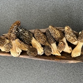 キノコ名人の助言をいただきながら、山の恵みを自らも採取しに行く。敷地内でも森に手を入れつつ、原木でキノコを育て、芽吹いた山菜を採り入れています。