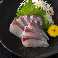 シマアジ/カンパチ/タコ/鯛