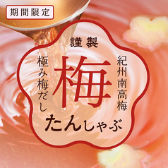 しゃぶしゃぶ食べ放題 温野菜 海老名店のコース写真