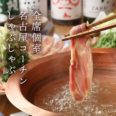 郷土料理と名古屋めし ヨンナナ酒場 名古屋駅店のおすすめ料理1