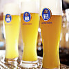 HBヴァイス Sサイズ(300ml)