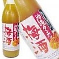 崎山酒造蔵　タンカン梅酒