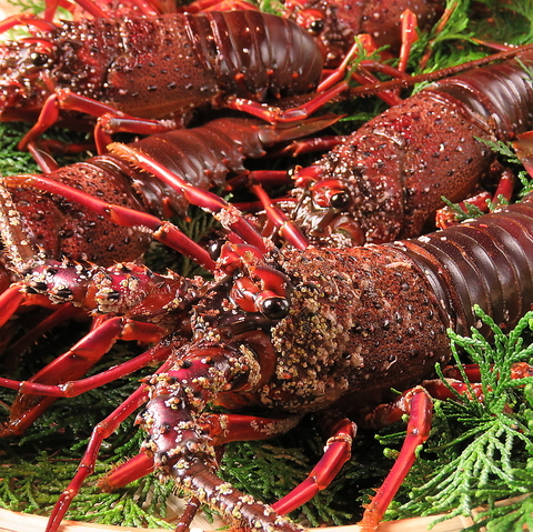 鮨 懐石 京料理 卓楽