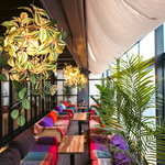 木の温もりと緑あふれるおしゃれで落ち着ける空間をご提供。女子会にも最適♪※画像はイメージです。