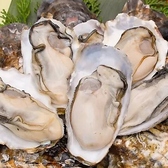 備長吉兆や 岐阜駅前店のおすすめ料理3