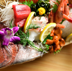 刺身五点盛り合わせ