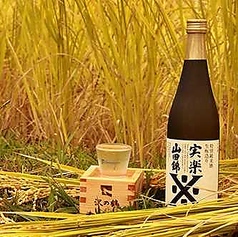 沢の鶴 特別純米 実楽