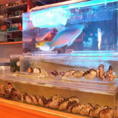 泡盛と沖縄料理　魚介類　くらたの写真2
