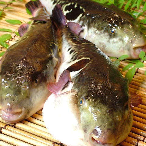 鮨 懐石 京料理 卓楽