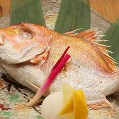 本日のおすすめ鮮魚 各種