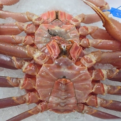 本ズワイ蟹各種料理