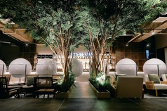 muse 大塚店のコース写真