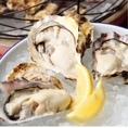 生、焼き、蒸し、トッピングなど様々な味わいの牡蠣を300円～お試し可能！