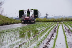 広大な北海道の旬な野菜を味わえます。