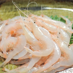 和彩たかのおすすめ料理3