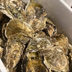 今だけ！鳥羽産直送牡蠣ももこまち