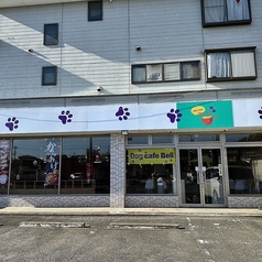 DOG CAFE Bell ドッグカフェ ベルの雰囲気3