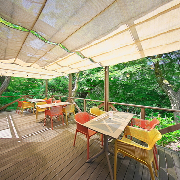 北欧カフェ 足羽山あたらしや 福井の雰囲気1