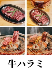 牛ハラミ