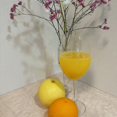 MERCYVeganFactory KYOTO STATION [V[B[Kt@Ng[