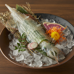 ヤリイカ活き造り