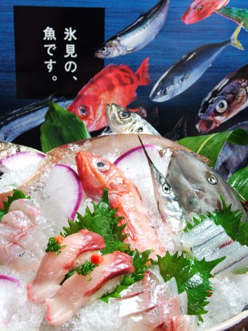 漁師が朝一番に獲った富山県氷見のお魚を直接仕入れています。