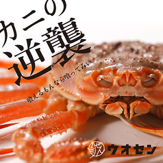 魚せん