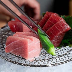 こだわりのマグロを手頃な価格で