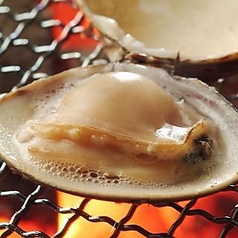 牛すじどて煮