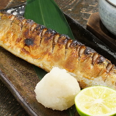 秋刀魚/スルメ烏賊