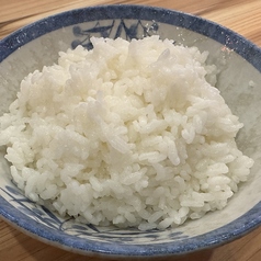 ご飯(並盛)