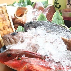 新潟ふるまち 志津川水産 一家部特集写真1