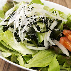 スエヒロサラダ/トマトサラダ/豆腐サラダ/大根サラダ/さっぱりごま塩サラダ