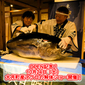 個室居酒屋　藁焼き　大月町龍馬　高知はりまや橋店のおすすめ料理1
