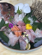 魚と肴のコース写真