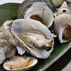 貝や廉の特集写真