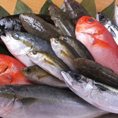 大好評！朝とれ鮮魚