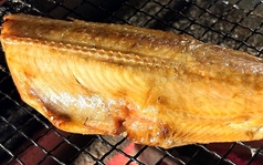 トロほっけ焼き 1枚