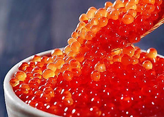 彩葉 iroha 堺東駅前店のコース写真